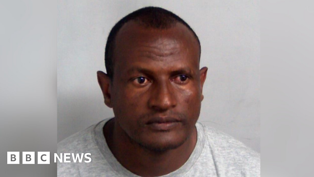 Migrant sex offender released due to 'human error', Lammy tells MPs