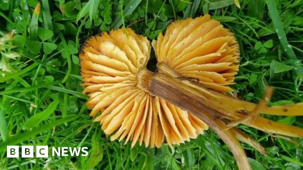 Channel Islands news quiz 7 December