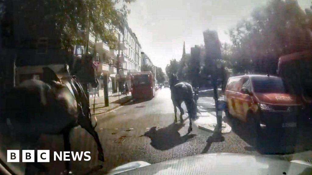 Military horses run loose again in central London