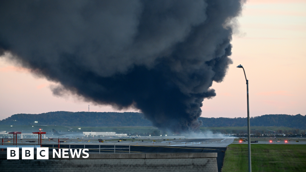 US firms ground MD-11 cargo planes after Kentucky air disaster