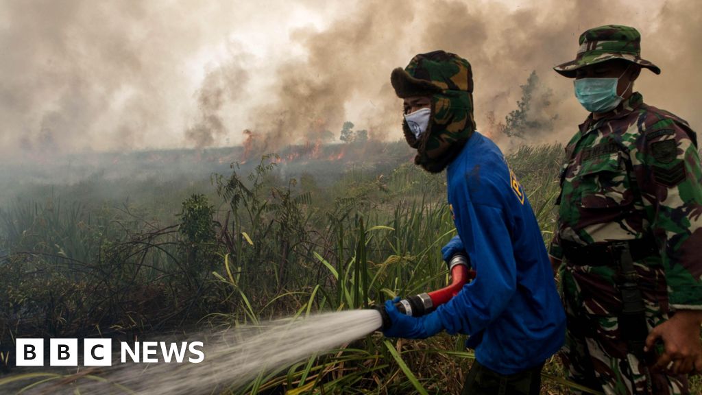 What is El Niño and why could it mean record tempe