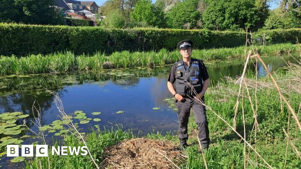 Newport town councillor rebuts swan death police coverup claims