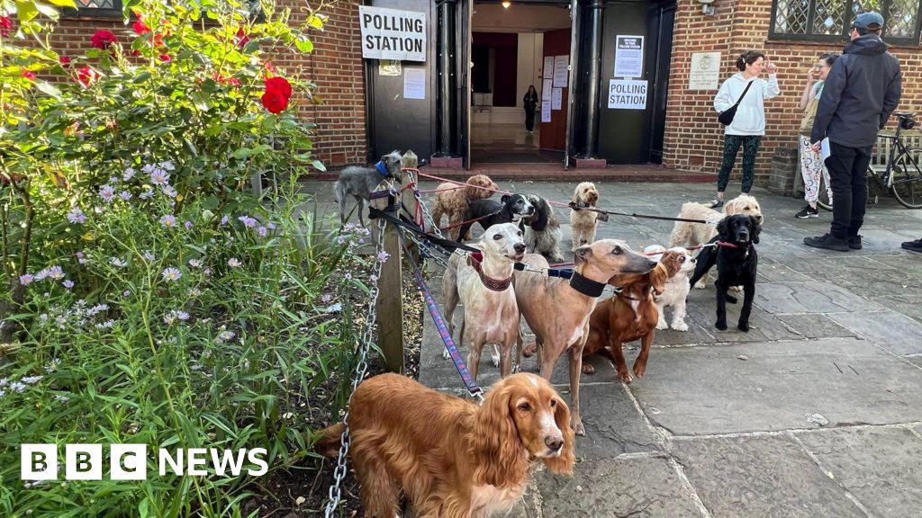 Dulwich dogs gather for traditional polling station pack photo