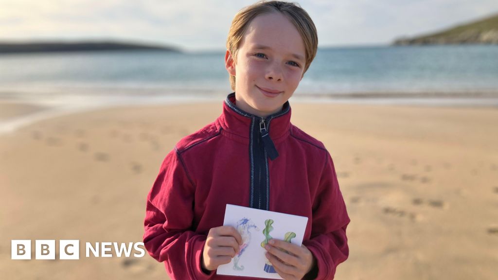 Young Cornish artist helps marine conservation with hand-drawn cards