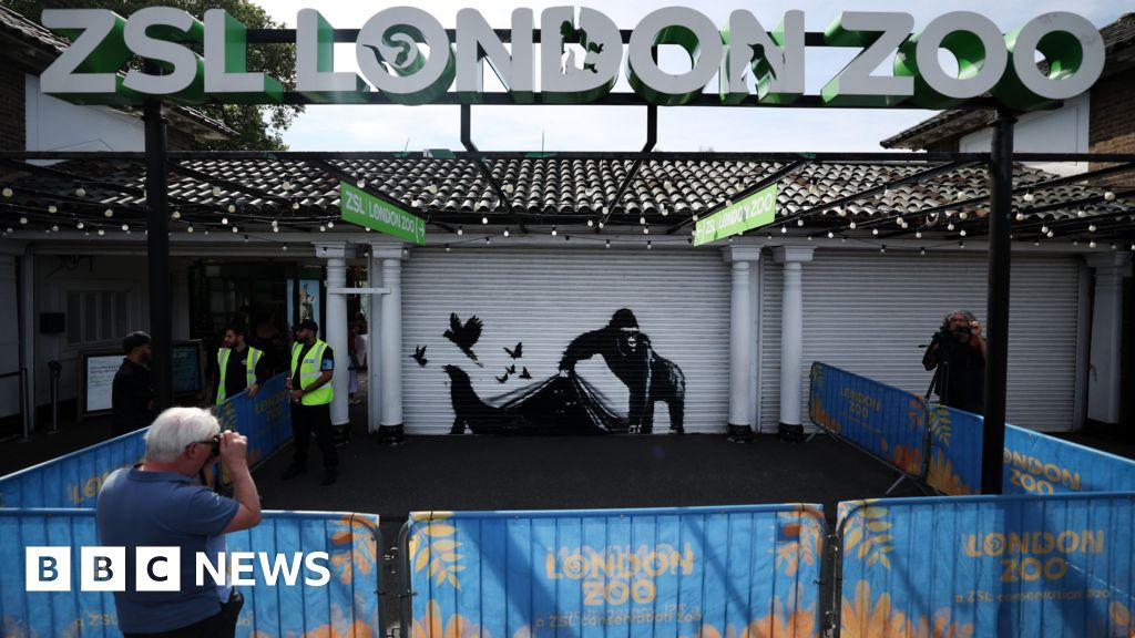 Banksy: London Zoo removes gorilla artwork for ‘safekeeping’