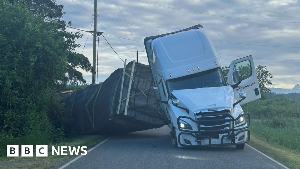 Warning after 250 million bees escape overturned truck in US