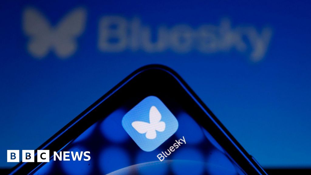 X users jump to Bluesky – but what is it and who owns it?