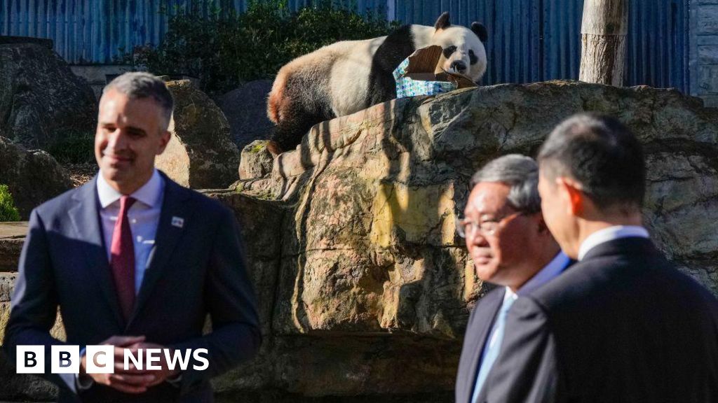 أستراليا تعرض على حيوانات الباندا في بكين إصلاح العلاقات