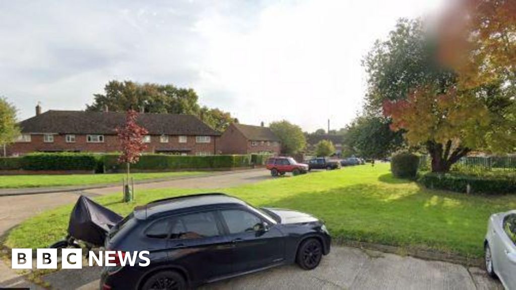 Man shot by armed police in Surrey dies