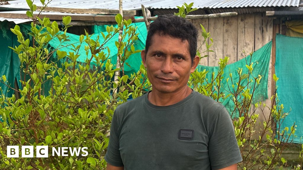 bbc.co.uk - Catherine Ellis - This farmer wanted to quit the cocaine industry - he couldn't