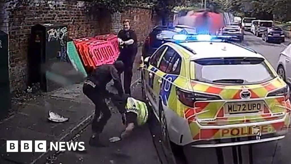 Footage shows moment officers are stabbed in ambush