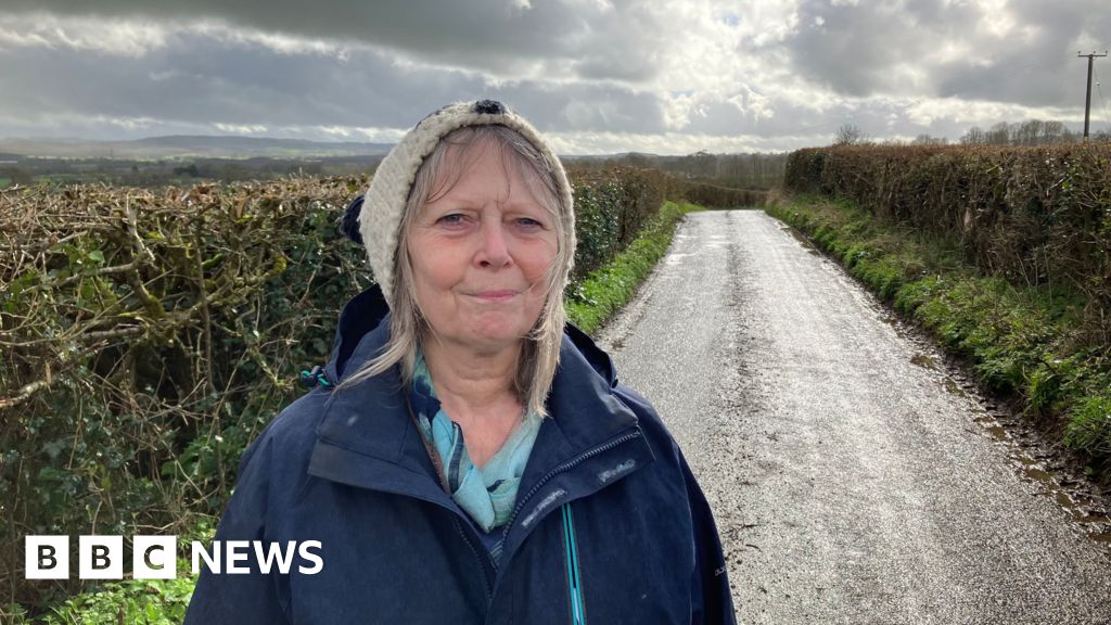 Frome: Plans for 1,700 homes opposed by campaigners - BBC News