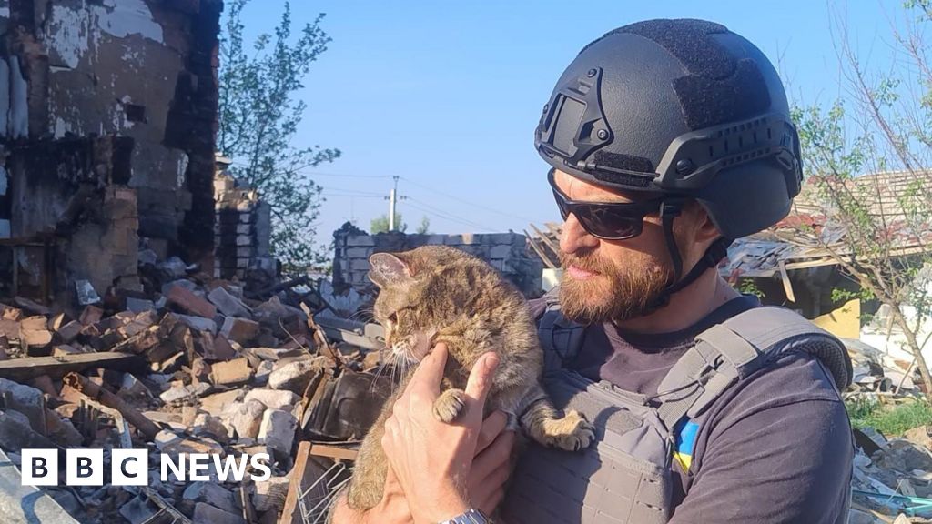 bbc.co.uk - Lewis Adams - Pen Farthing's team rescues 30 animals from Ukraine front line
