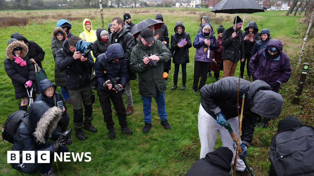 Sycamore Gap Tree Feller Adam Carruthers Released Early Under Home Detention Curfew