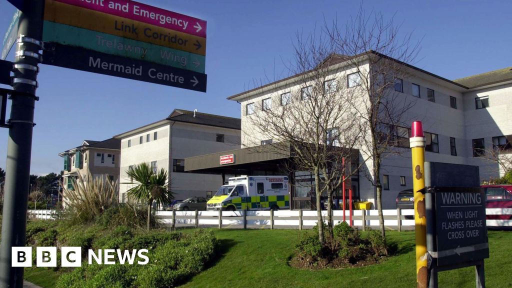 Royal Cornwall Hospital staff's sick days exposed in data leak