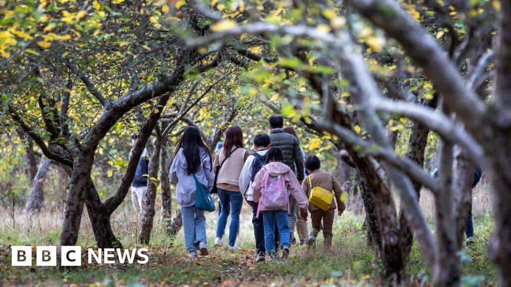 Milton Keynes community orchard celebrates golden milestone