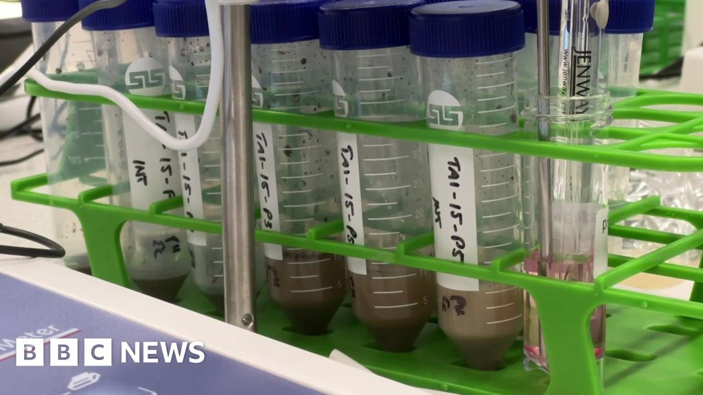 Investigation into ‘forever chemicals’ waste near Helsby ex-factory