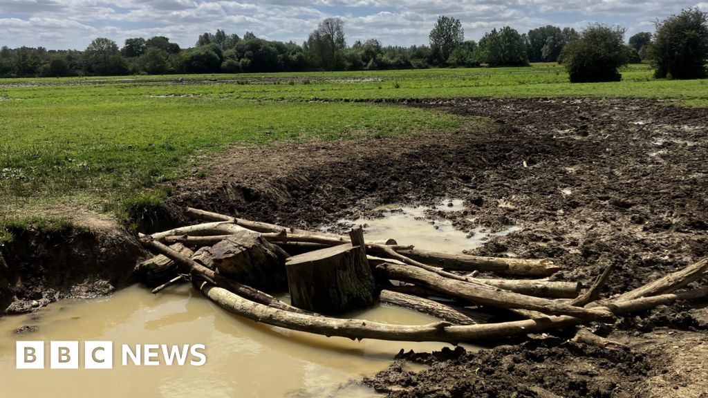 Popular River Stour footpath closed after 'serious' breach - BBC News