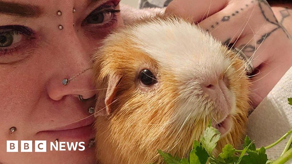 Fostering abandoned pets for the RSPCA is ‘joy and heartbreak’