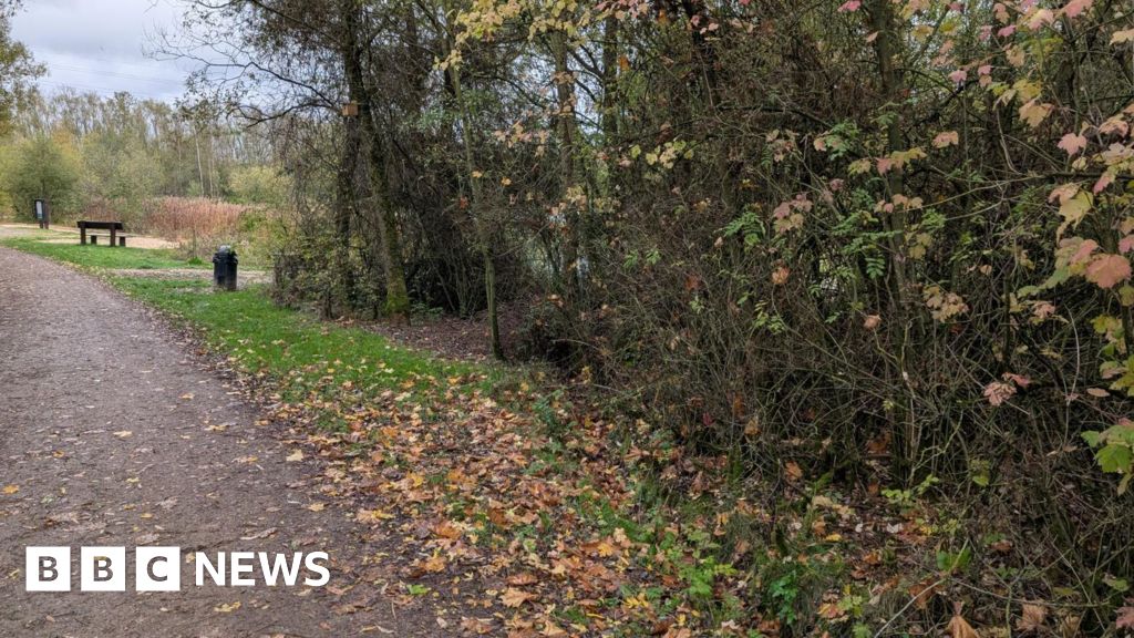 Newborn puppy dies after being found in bag by Chesterfield lake(02)