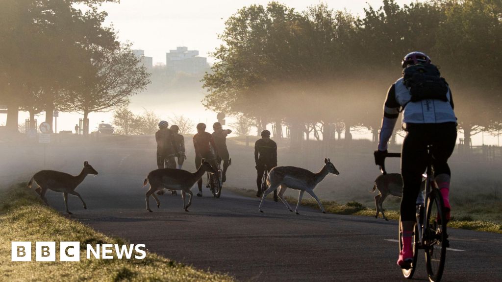 Richmond Park: London Duathlon called off amid safety concerns