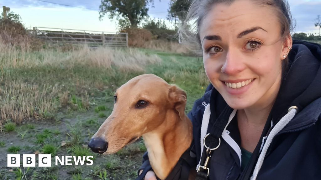 Morpeth dog walks again after being paralysed BBC News