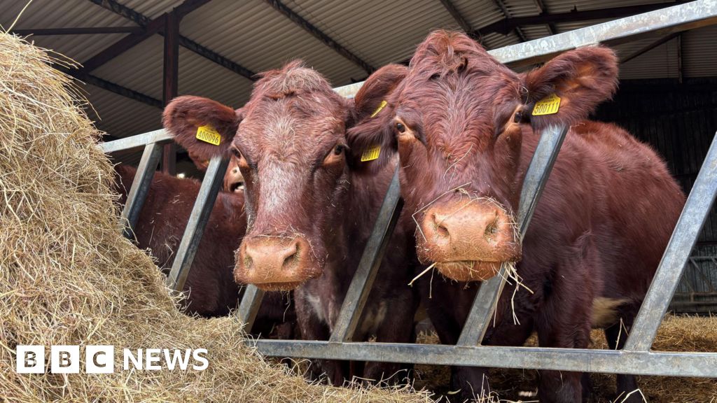 Climate change scrutiny body to be set up