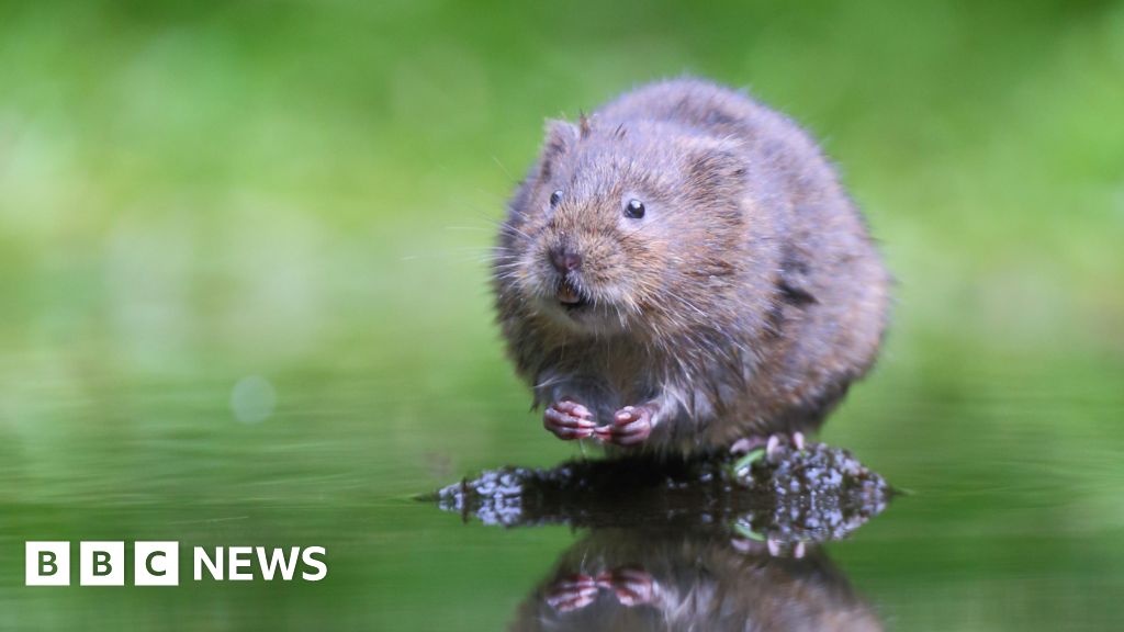 Nature groups launch legal bid over wildlife loss