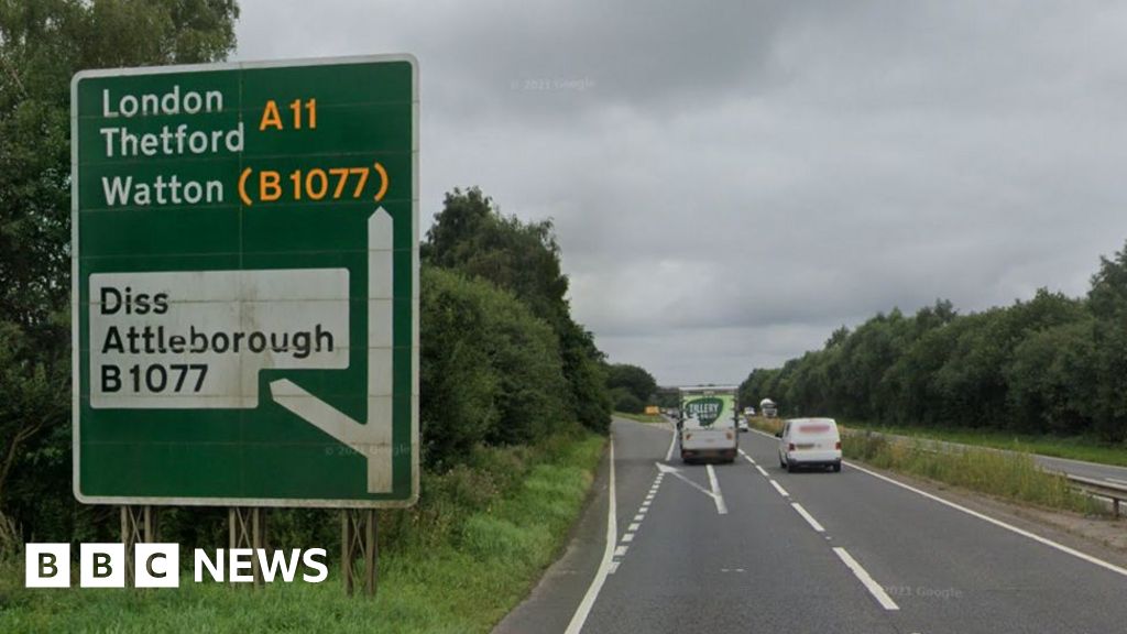 Multiple UK Major Roads Closed by Fallen Trees Amid Traffic Disruptions