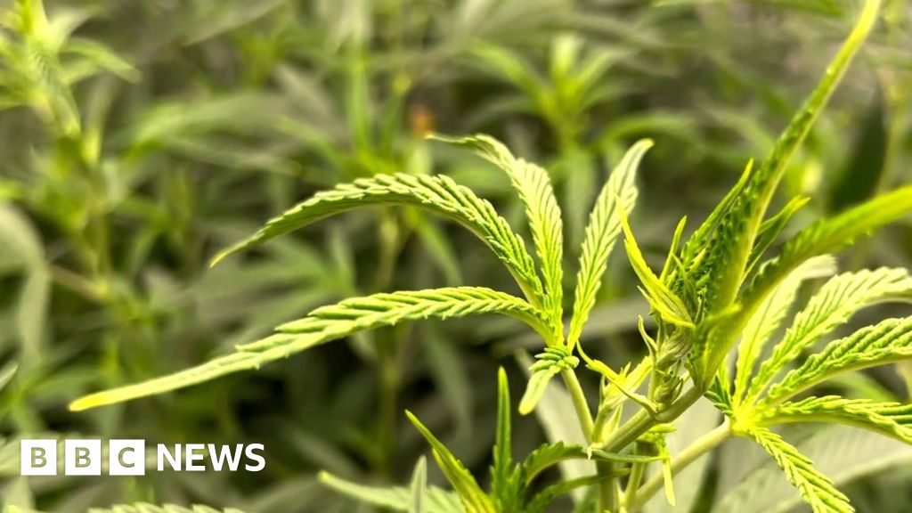 Guernsey deputy warns illegal prescription drugs are a 'problem' BBC News