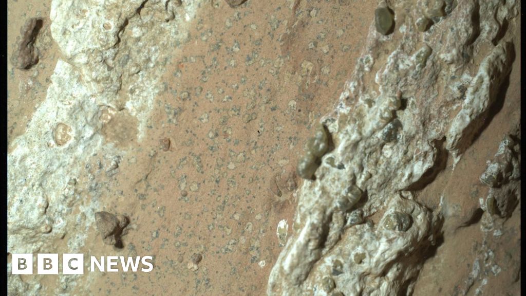 Life on Mars? 'Leopard-spot' rocks could be biggest clue yet