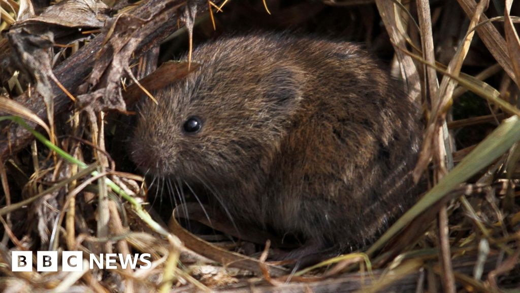 How are flooding and storms affecting wildlife?