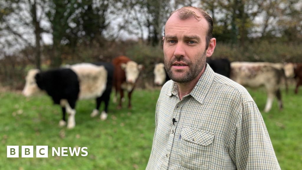 A farmer with his herd of cattle