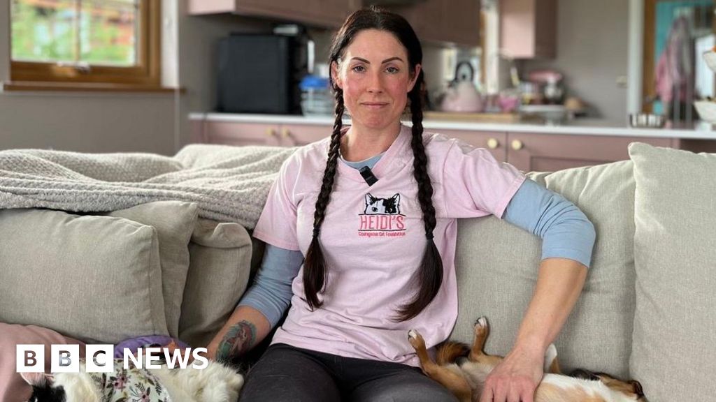 Disabled cat rescue in Shropshire 'heartbroken' to relocate