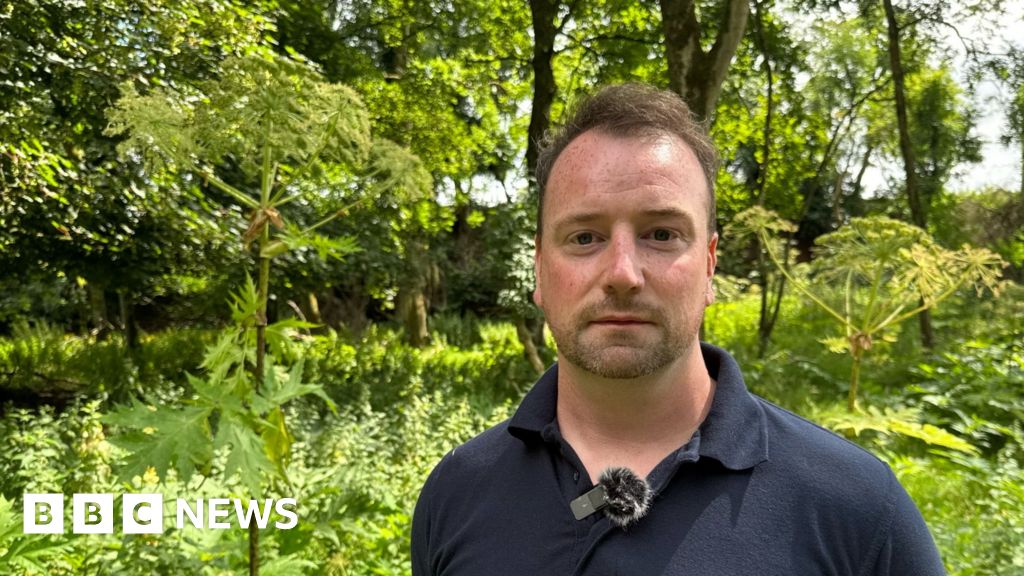 Giant hogweed: On the frontline fighting 'UK's most dangerous plant'