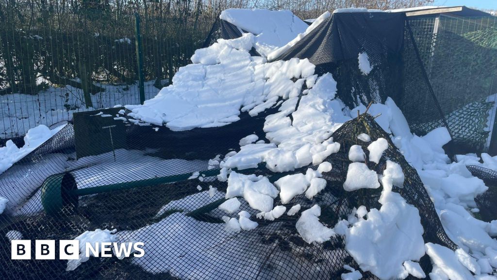 Cuan Wildlife Rescue appeals for help after storm damage.