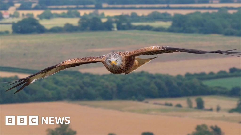 www.bbc.co.uk