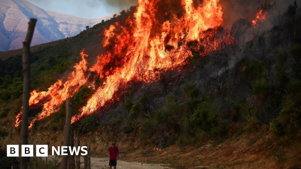 Wildfires rage across southern Europe as temperatures top 40C