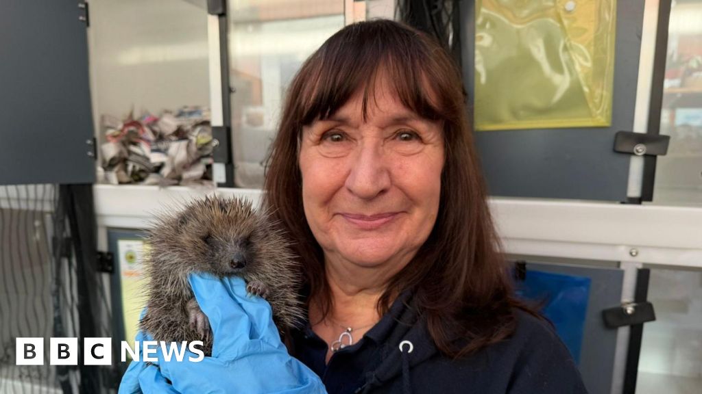 bbc.co.uk - Grace McGrory - Holderness Hedgehog Hospital expansion 'making life much easier' - BBC News