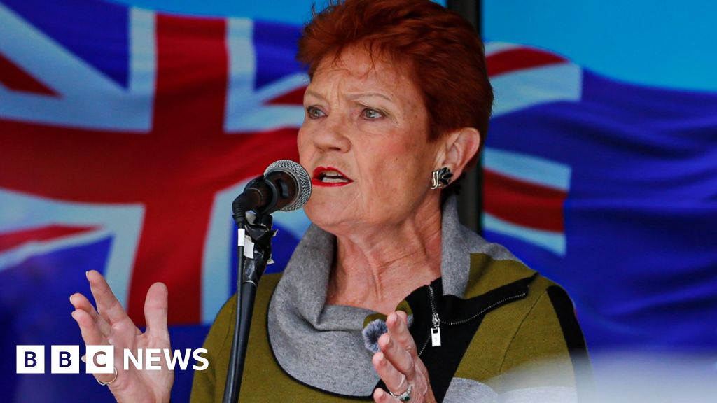 Pauline Hanson's One Nation: South Australian success an 'ominous sign' for major parties thumbnail