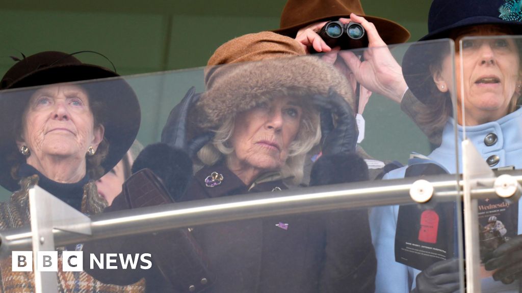 Queen visits Cheltenham after early snow on course