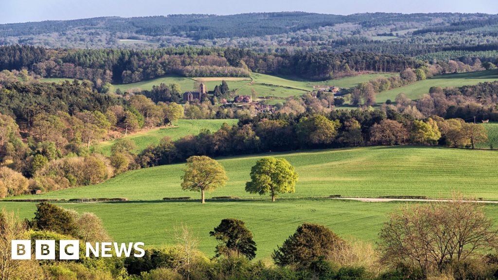 Surrey councils seek three-unitary model amid reorganisation plans
