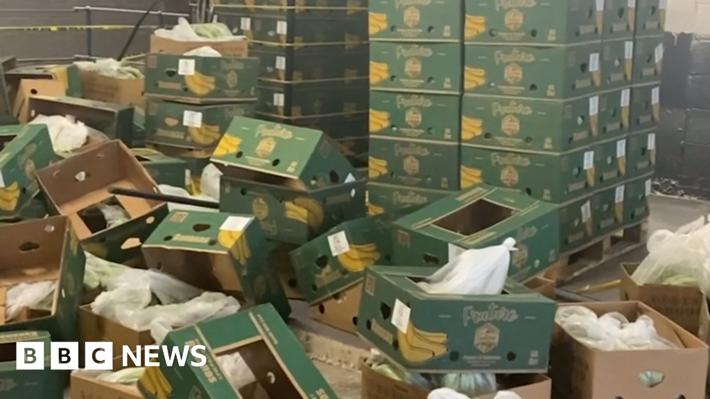 Gang smuggled £200m of cocaine into UK in Columbian banana boxes