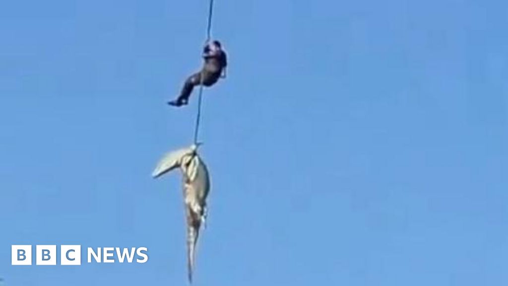 South African police officer lowered into crocodile-infested river to recover human...