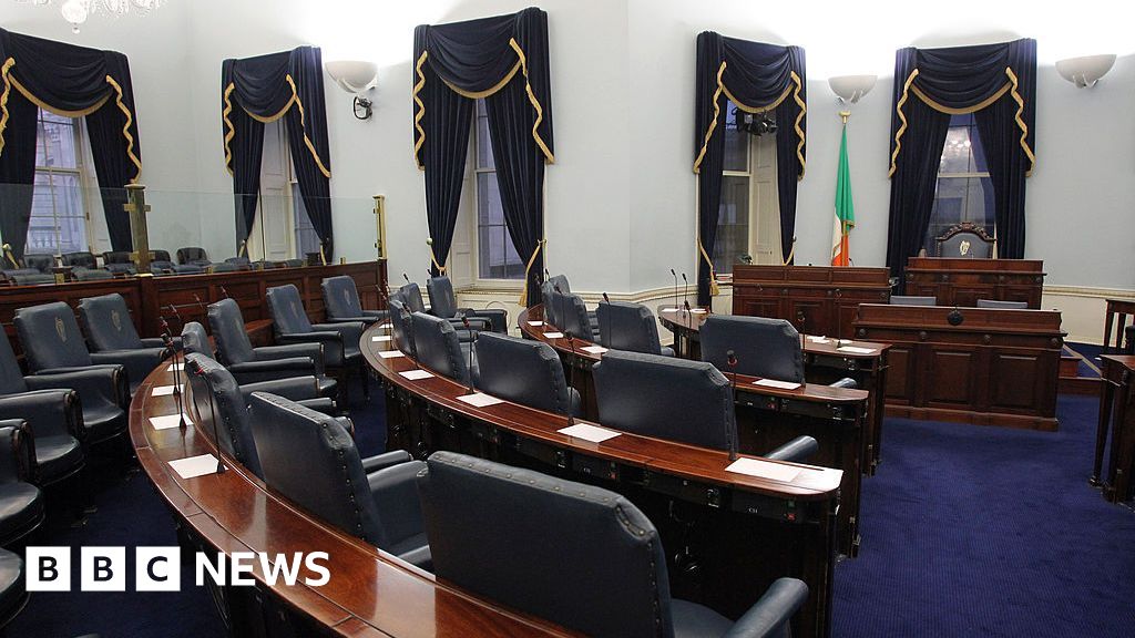 Seanad Election Sees New Party Senators Elected