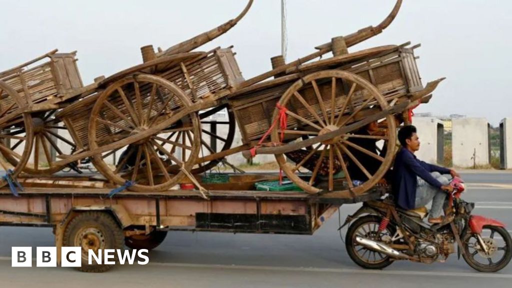 Carts, catwalk and carnival: Photos of the week