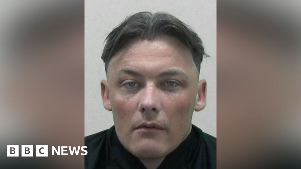 bbc.co.uk - Rabbit-kicking Washington burglar jailed for latest spree