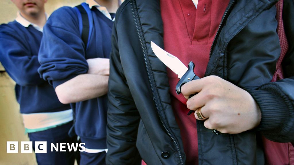 Pupils found with weapons after searches at Cardiff schools