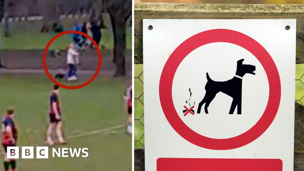 Rugby match stopped due to dog fouling on pitch highlights 'huge problem'