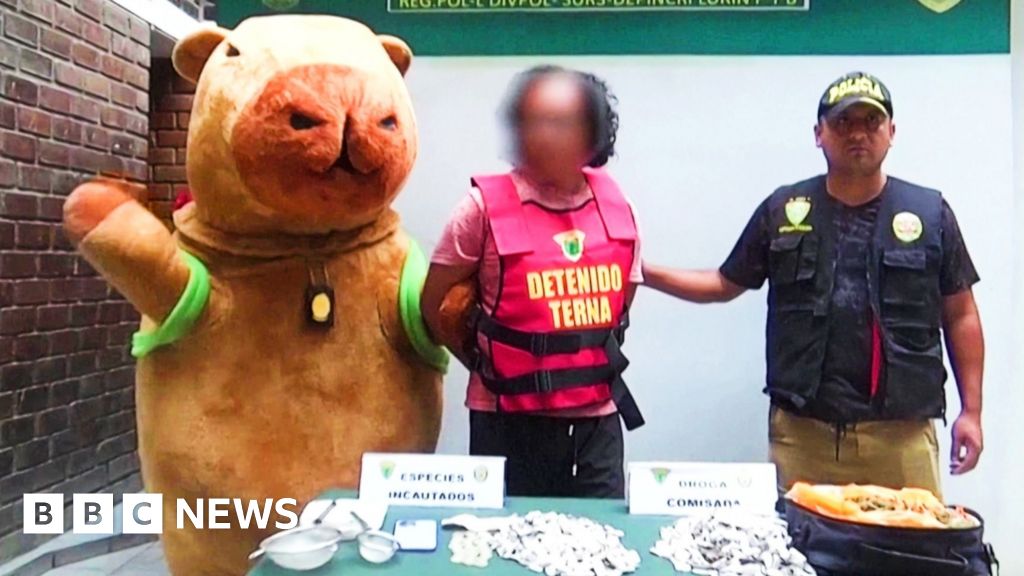 Peruvian policeman in capybara costume makes Valentine's drug bust